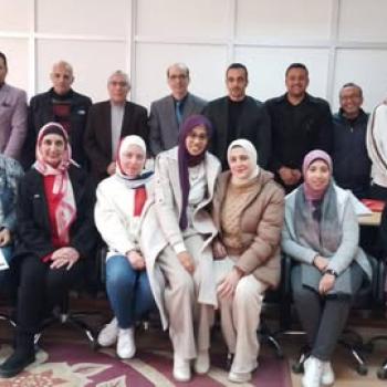 مشاركة الاستاذ الدكتور نيفين جلال عميد كلية السياحة والفنادق جامعة قناة السويس بدورة المراجعة الخارجية